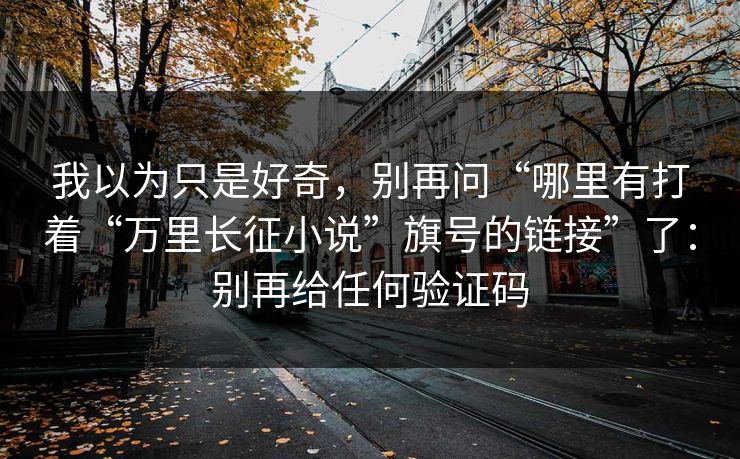 我以为只是好奇，别再问“哪里有打着“万里长征小说”旗号的链接”了：别再给任何验证码