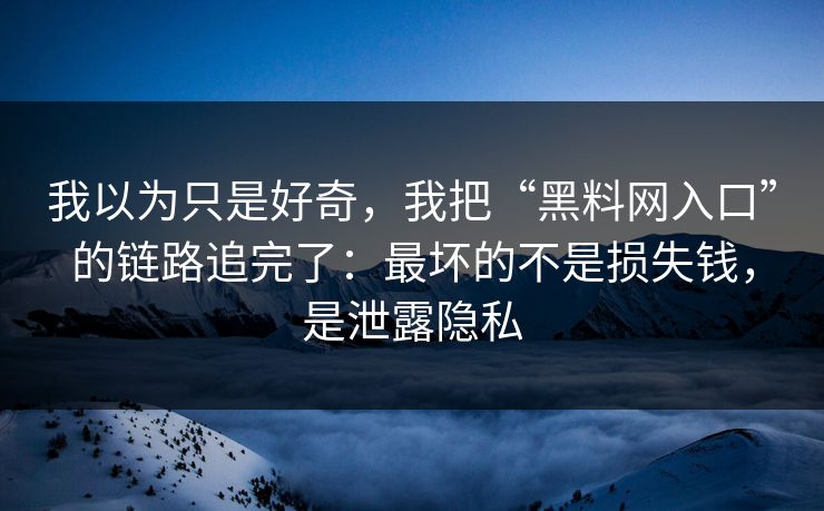 我以为只是好奇，我把“黑料网入口”的链路追完了：最坏的不是损失钱，是泄露隐私
