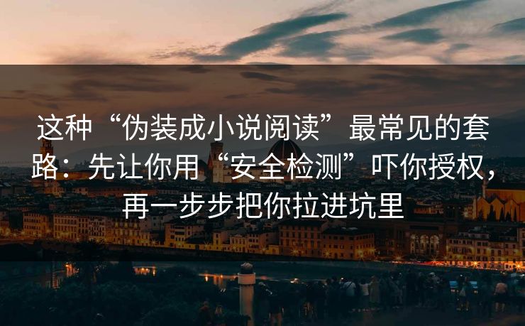 这种“伪装成小说阅读”最常见的套路：先让你用“安全检测”吓你授权，再一步步把你拉进坑里