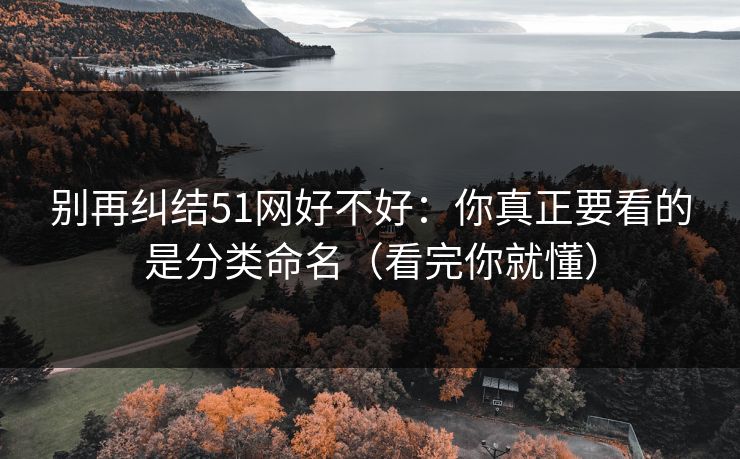 别再纠结51网好不好：你真正要看的是分类命名（看完你就懂）